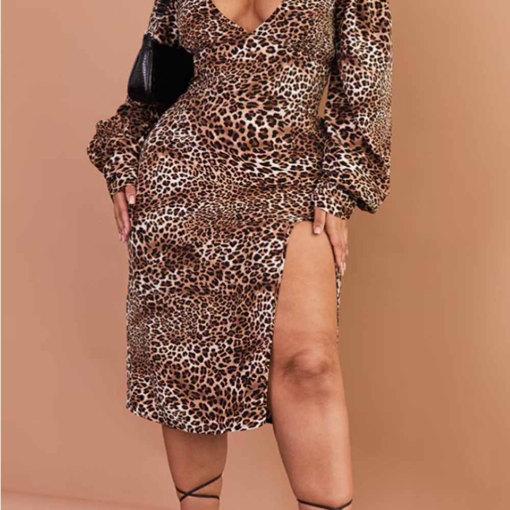 Leopard Print Long Sleeve Dress